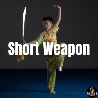 Short Weapon