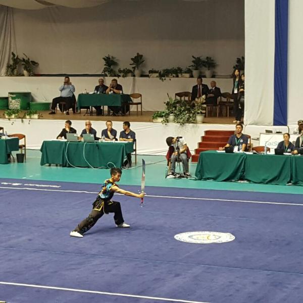 Randall Lim - Nandao - 6th World Junior Wushu Championships 2016