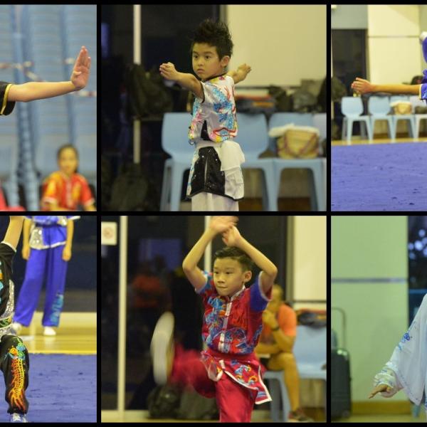 Xuan Sports Wushu Athletes