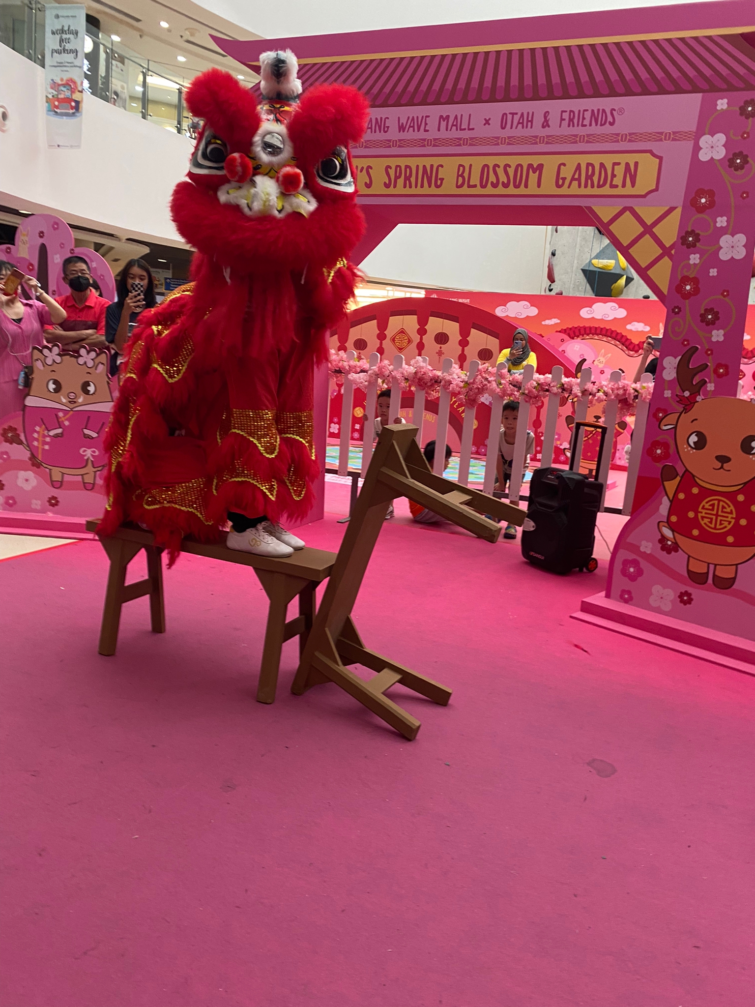 Xuan Sports Lion Dance Xuan Sports Lion Dance